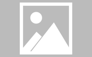 沧州搭建网站招聘信息（网站制作 招聘）
